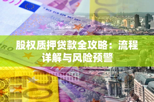 武汉股权质押贷款全攻略：流程详解与风险预警