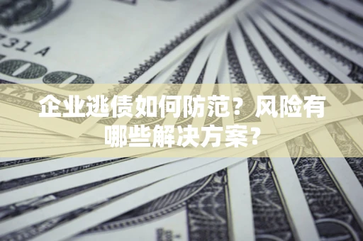 武汉企业逃债如何防范？风险有哪些解决方案？