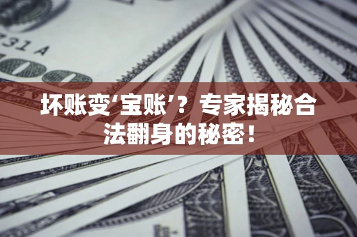 武汉坏账变‘宝账’？专家揭秘合法翻身的秘密！