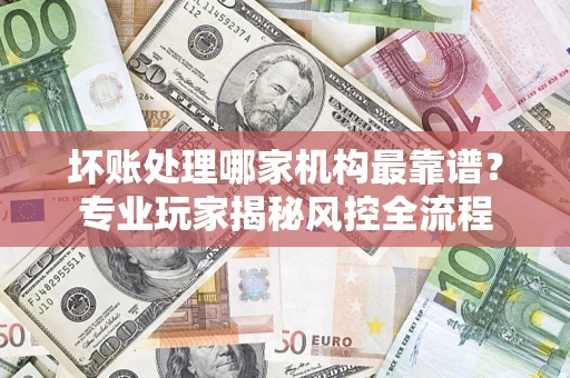 武汉坏账处理哪家机构最靠谱？专业玩家揭秘风控全流程