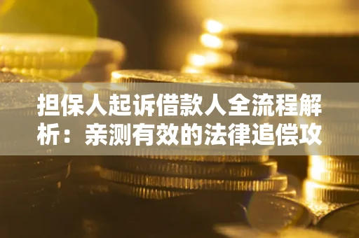 武汉担保人起诉借款人全流程解析：亲测有效的法律追偿攻略
