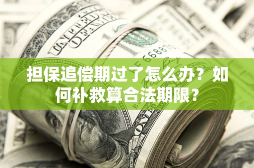 武汉担保追偿期过了怎么办？如何补救算合法期限？