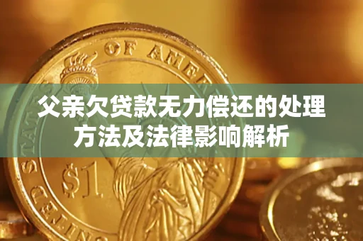 武汉父亲欠贷款无力偿还的处理方法及法律影响解析