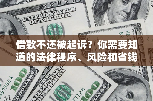 武汉借款不还被起诉？你需要知道的法律程序、风险和省钱技巧