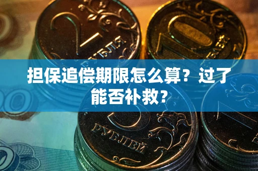 武汉担保追偿期限怎么算？过了能否补救？